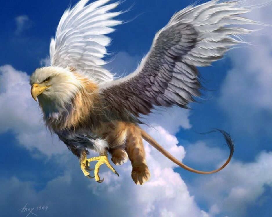 ���� 4169942 ������� �����, 55 ���, ���� ���������� � ���������