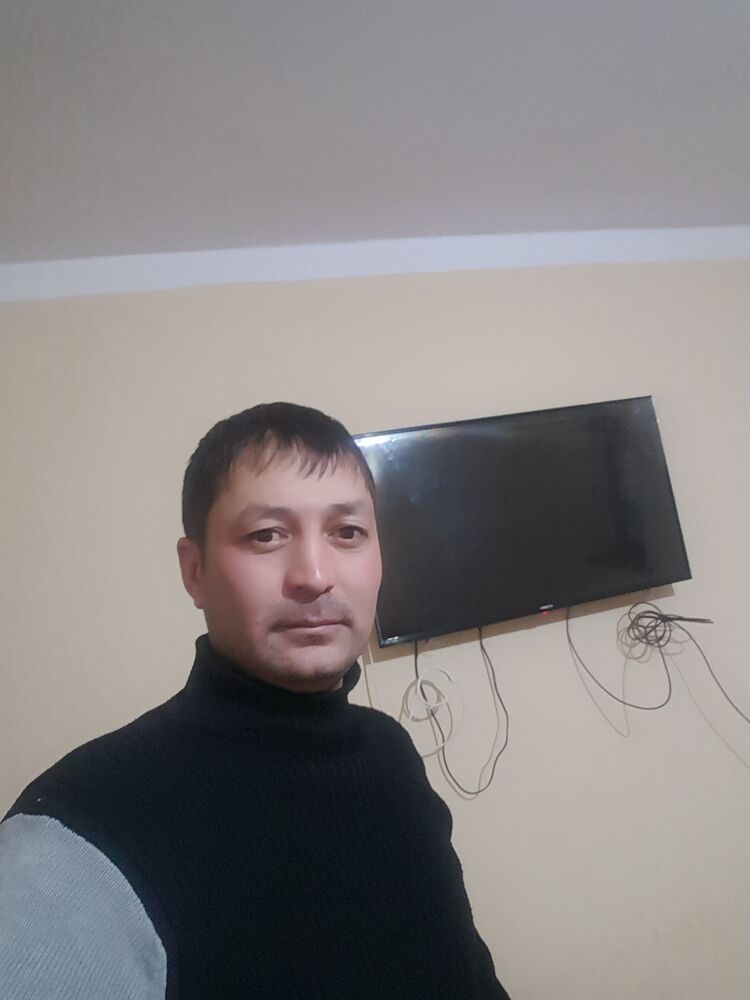  24933222  , 40 ,    