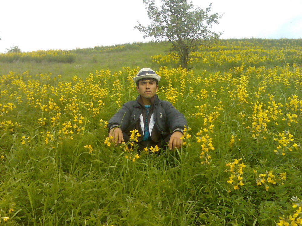 ���������� ��������, ���� ������� Odiljon, 36 ���, ������������ ��� ������, ����� � ���������, c�������� ���������