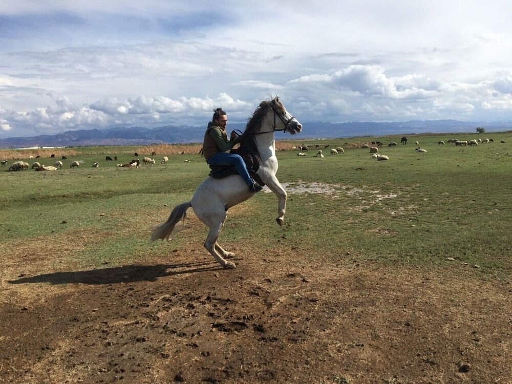 ���� 31852792 ������� ������, 39 ���, ���� ���������� � ������