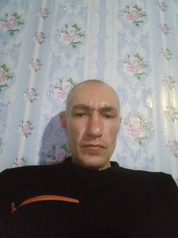  49894392  Vitalic, 43 ,    