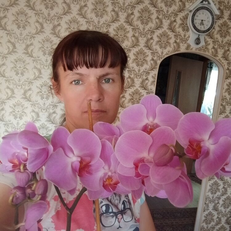 ���� 53025122 ������� �������, 40 ���, ���� ���������� � ����������