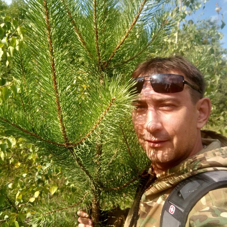 ���� 55248562 ������� �����, 51 ���, ���� ���������� � ��������