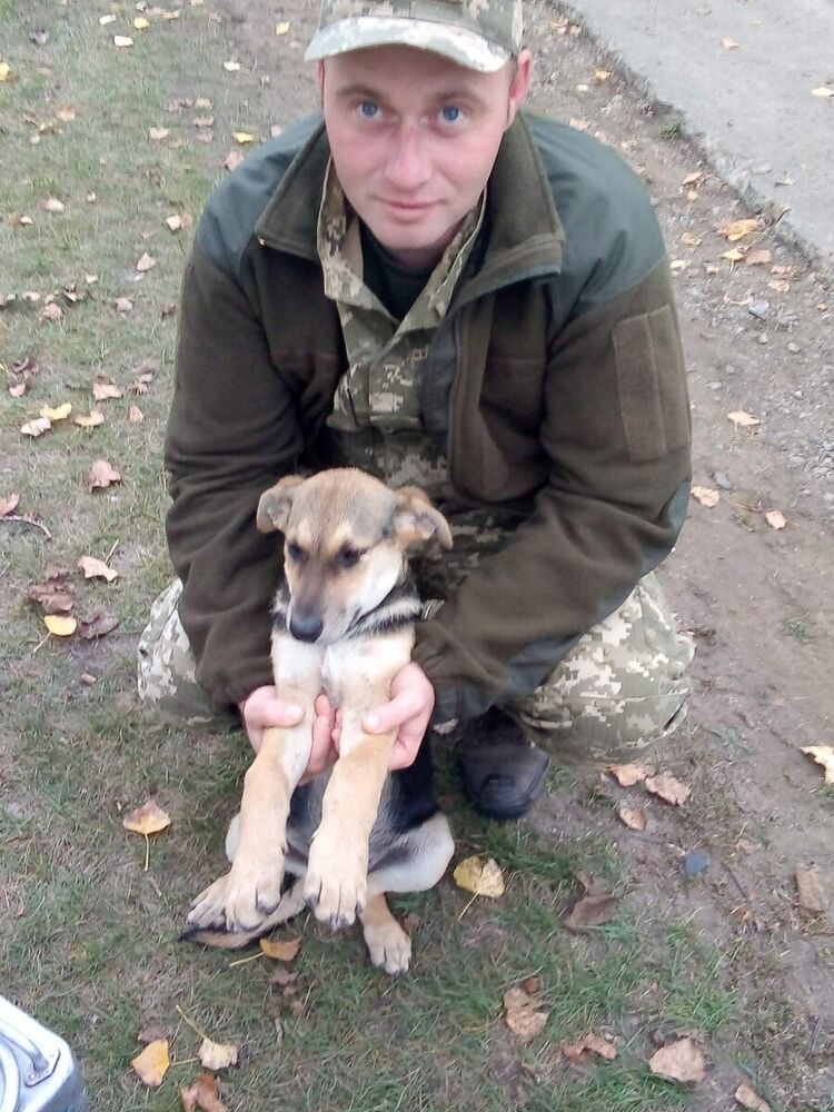 ���� 21382772 ������� �����, 39 ���, ���� ���������� � ����������