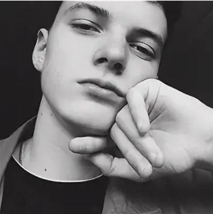 ���� 23559662 ����� Daler, 24 ����, ���� ���������� � �������