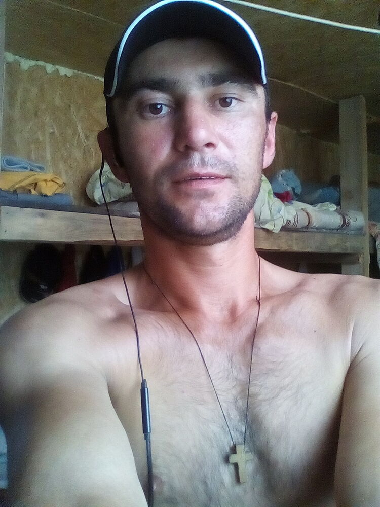  12741862  , 40 ,    