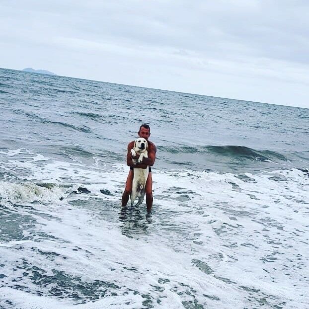 ���������� ���������, ���� ������� �����, 48 ���, ������������ ��� ������, ����� � ���������, c�������� ���������