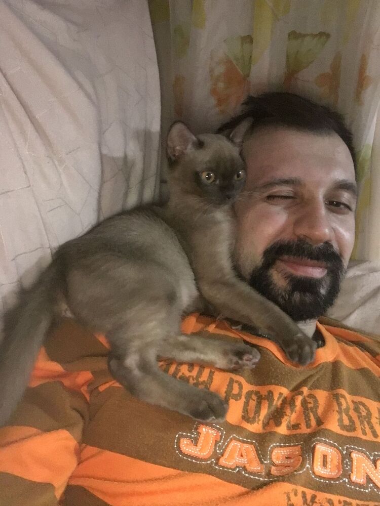  --,   , 34 ,   ,   , c 