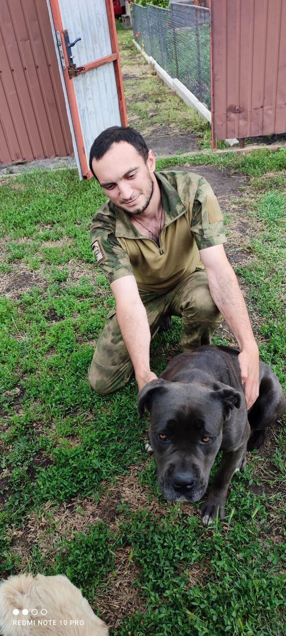 ���������� ���������, ���� ������� �����, 33 ����, ������������ ��� ���������