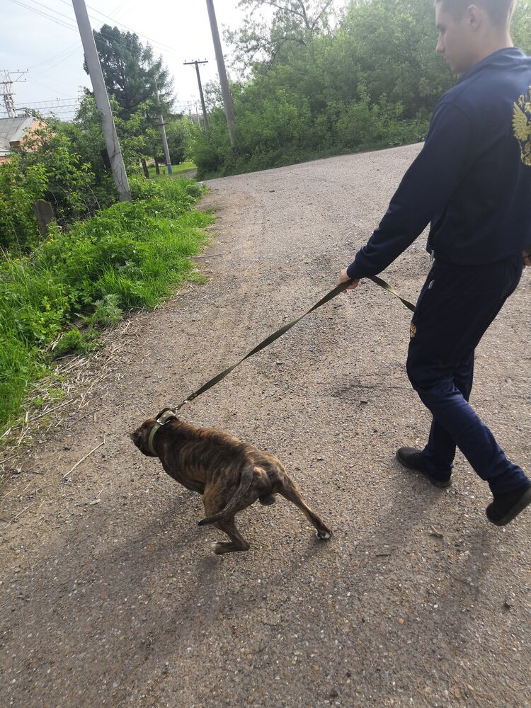 ���� 27839512 ������� ������, 30 ���, ���� ���������� � ���