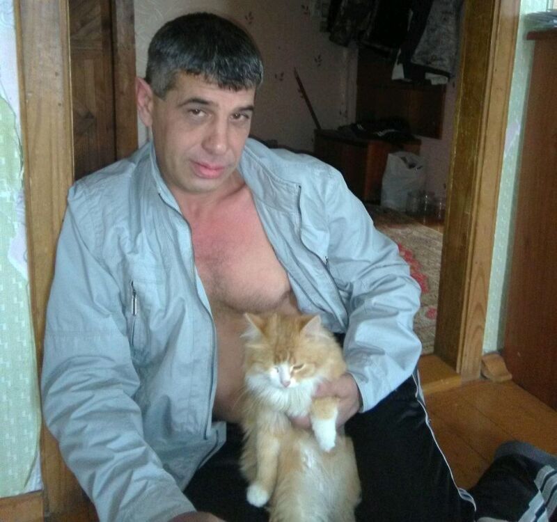  ,   , 56 ,   ,   , c 