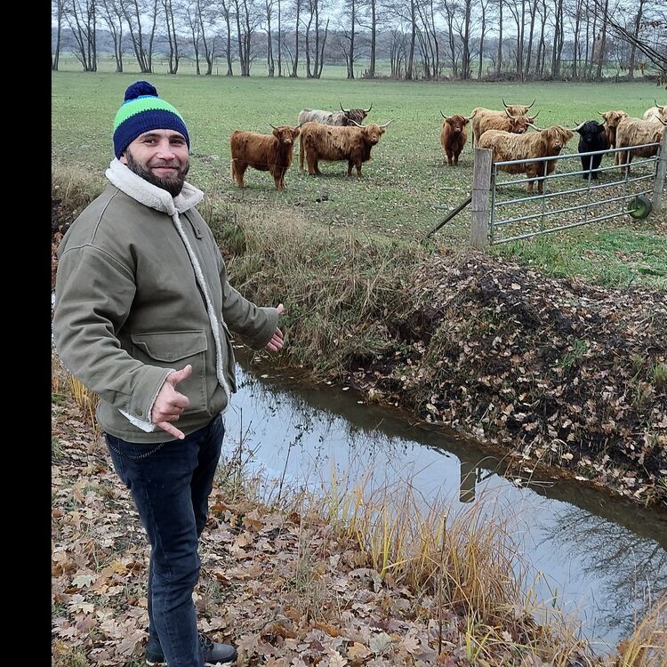 ���������� �����, ���� ������� ����, 41 ���, ������������ ��� ������, ����� � ���������