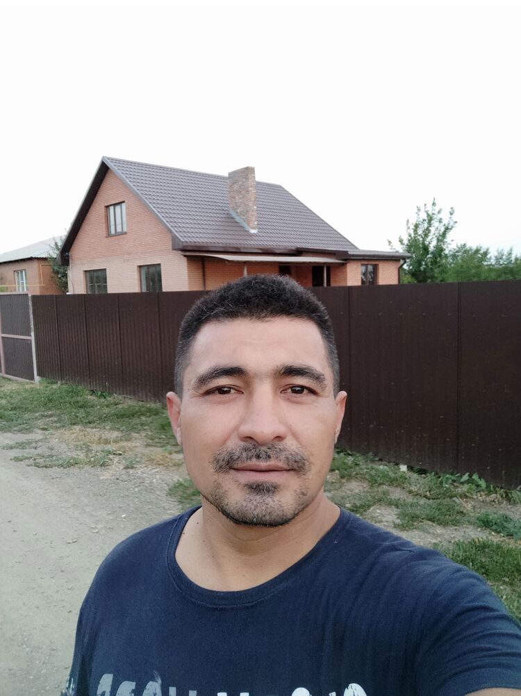  23798352  , 44 ,    -
