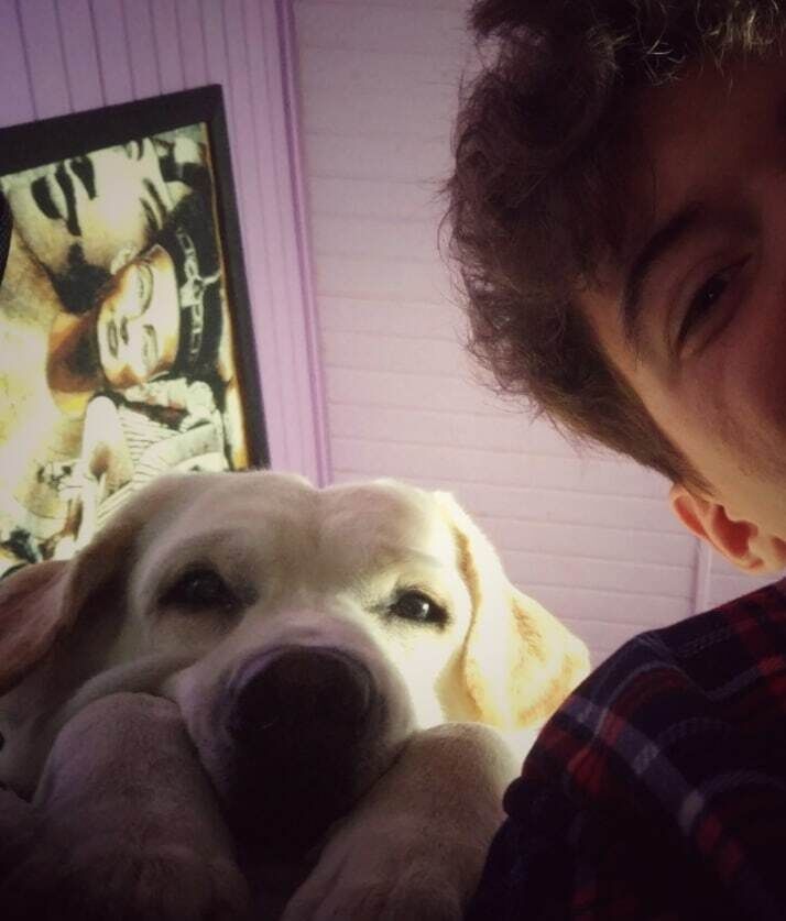 ���������� ������, ���� ������� ���������, 28 ���, ������������ ��� ����� � ���������, c�������� ���������, ���������