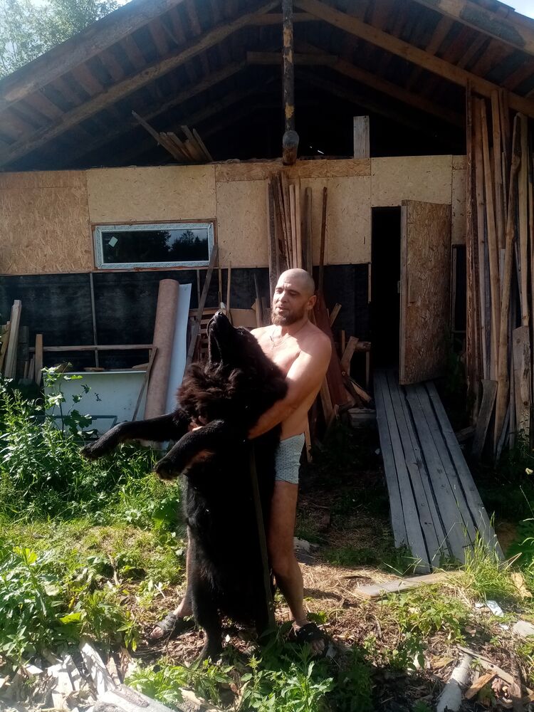 ���������� ������������, ���� ������� ������, 50 ���, ������������ ��� ����� � ���������, c�������� ���������