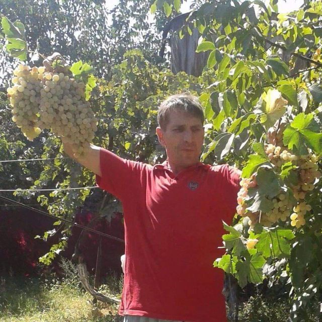  ,   , 58 ,   ,   