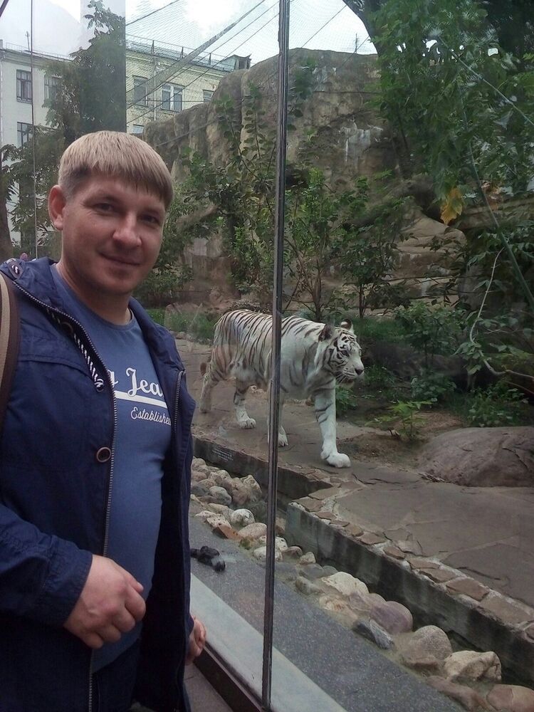 ���������� ������, ���� ������� ���������, 41 ���, ������������ ��� ������, ����� � ���������, c�������� ���������