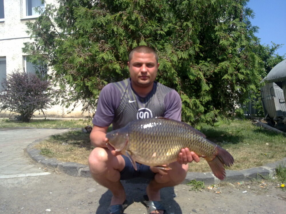  ,   Bosuj, 41 ,   ,   , c 