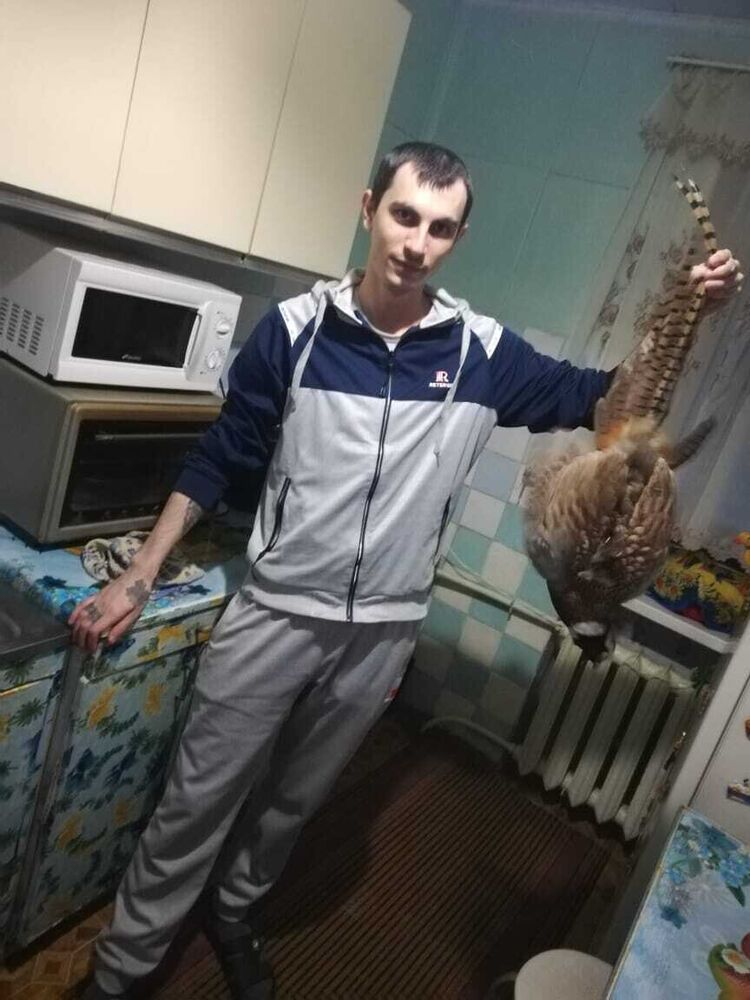 ���� 22038022 ������� ������, 33 ����, ���� ���������� � ����������