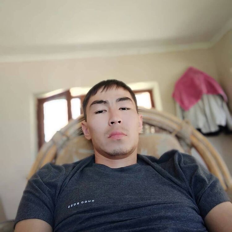 ,   Amir, 29 ,   ,   , c 