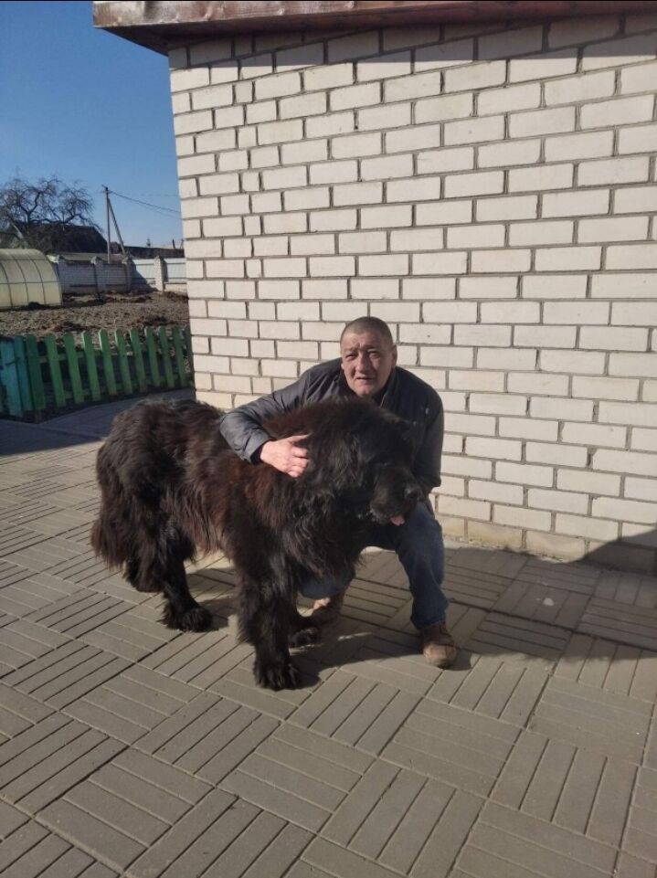 ���������� ������, ���� ������� ������, 52 ����, ������������ ��� ������, ����� � ���������