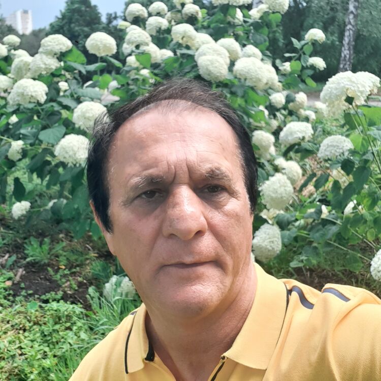  42122282  Nur, 60 ,    