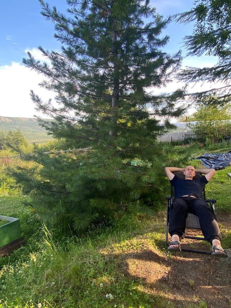  54544392  , 34 ,    -