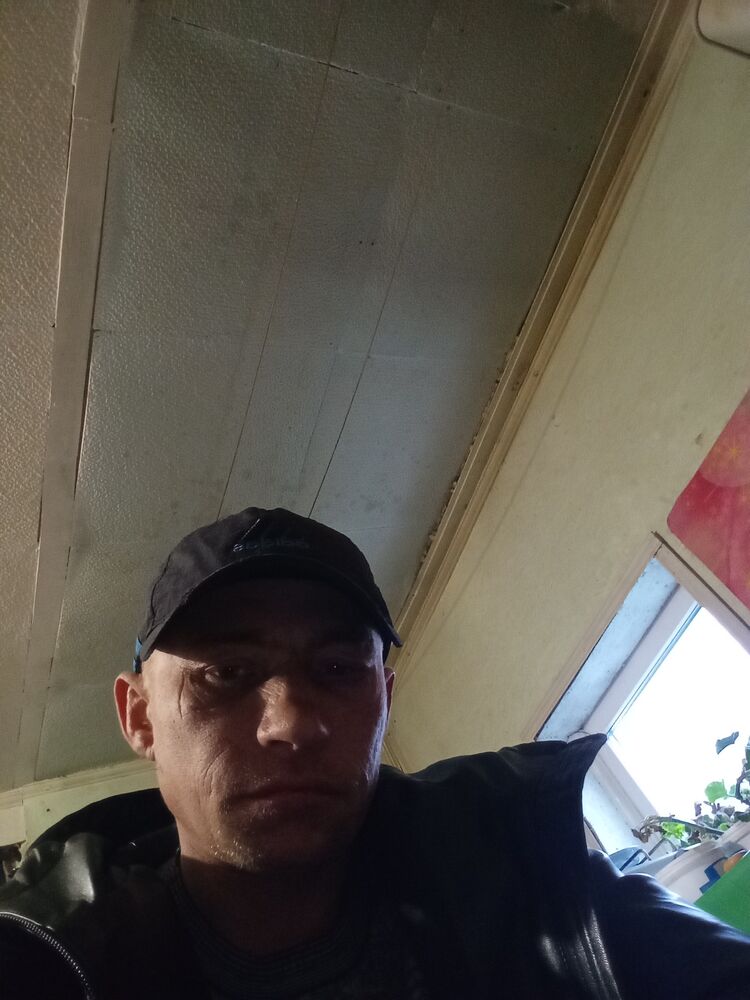  38951182  , 38 ,    