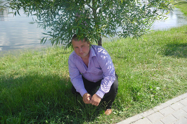 ���� 8559392 ������� ���������, 44 ����, ���� ���������� � ������