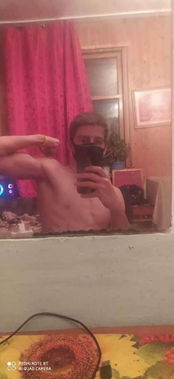  43784812  , 21 ,    