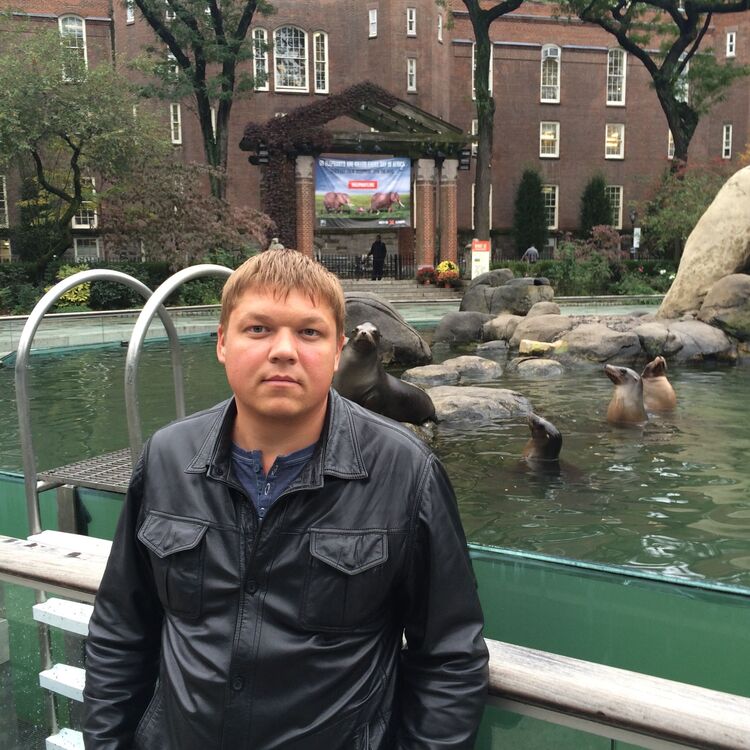 ���� 34018342 ������� �����, 44 ����, ���� ���������� � ������