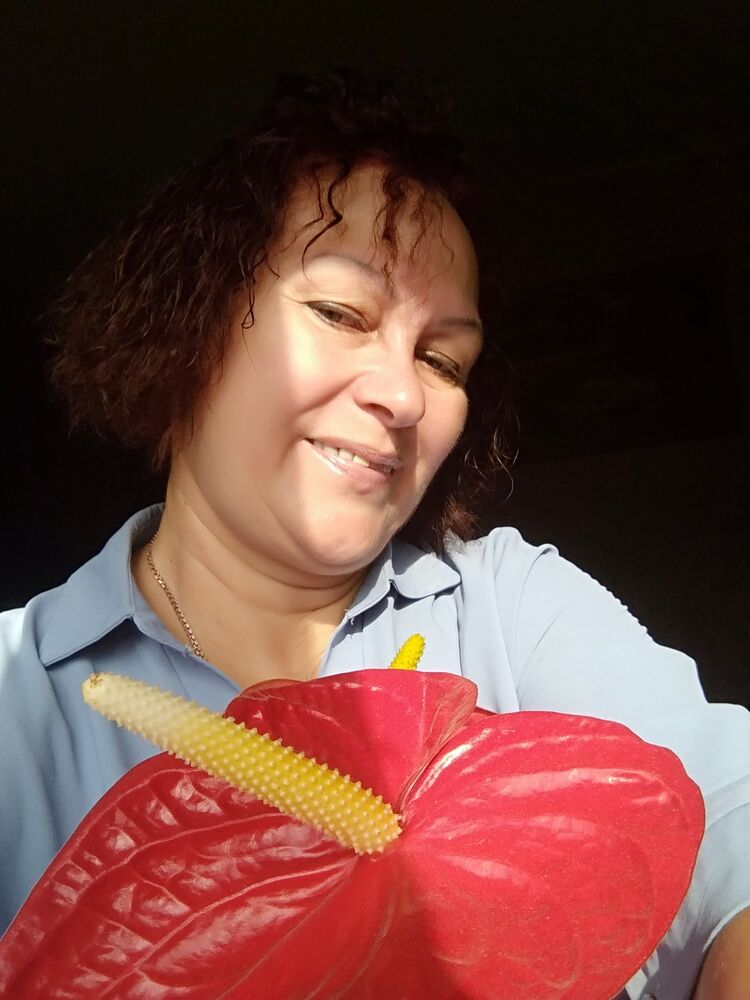  ,   , 53 ,   ,   