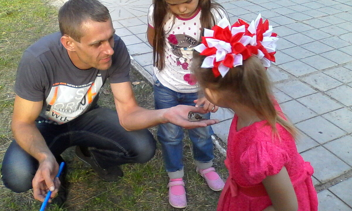 ���� 5042622 ������� �������, 40 ���, ���� ���������� � ���������