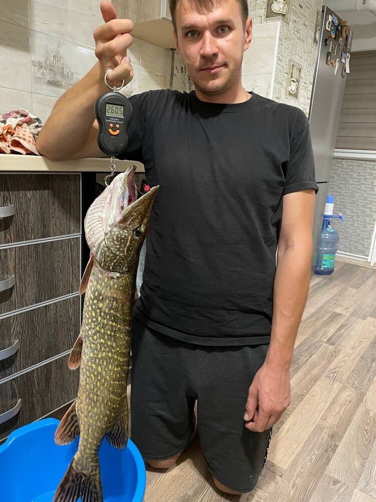 ���� 47739692 ������� ����, 34 ����, ���� ���������� � ���������