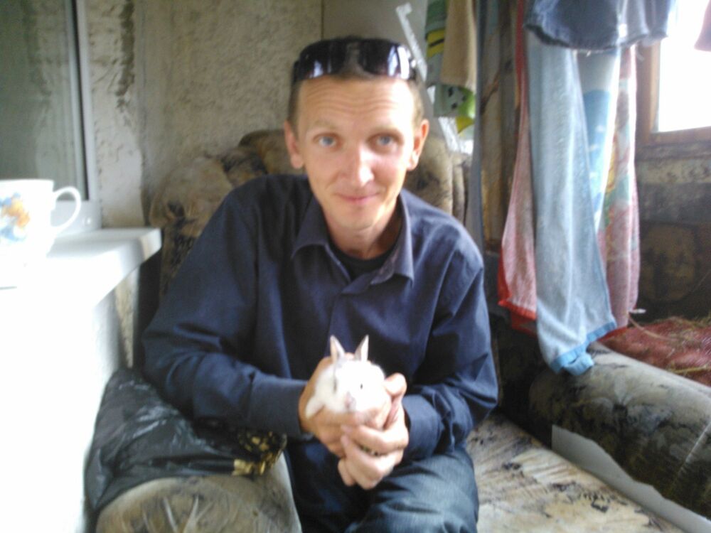 ���������� �����������, ���� ������� ����, 50 ���, ������������ 