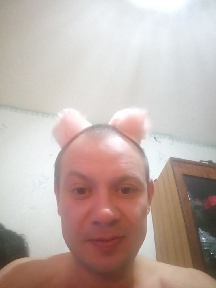  44238802  , 44 ,    
