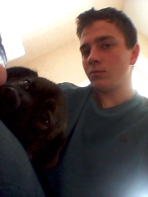 ���� 49411972 ������� ����, 29 ���, ���� ���������� � �����