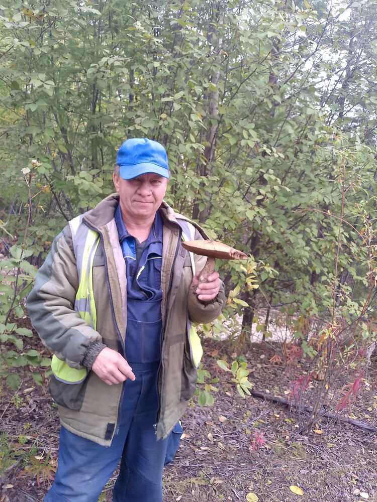 ���� 55376162 ������� ����, 50 ���, ���� ���������� � ����