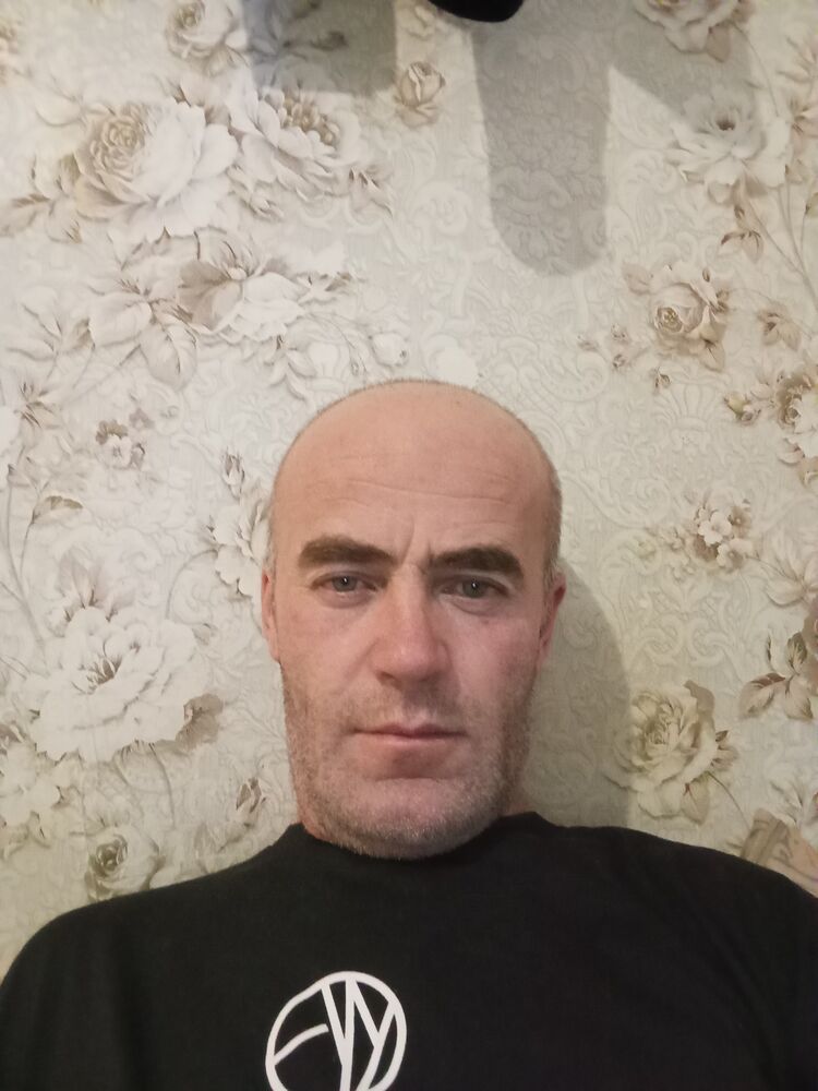  48184842  , 43 ,    