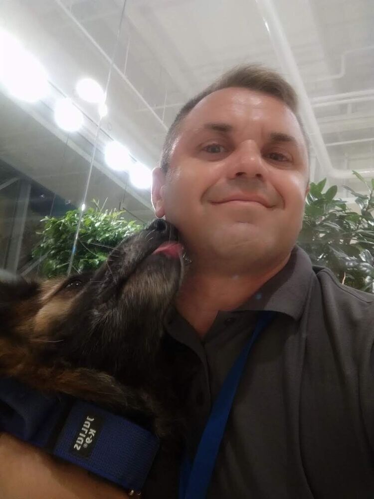 ���� 55862312 ������� Gray, 46 ���, ���� ���������� � �����������