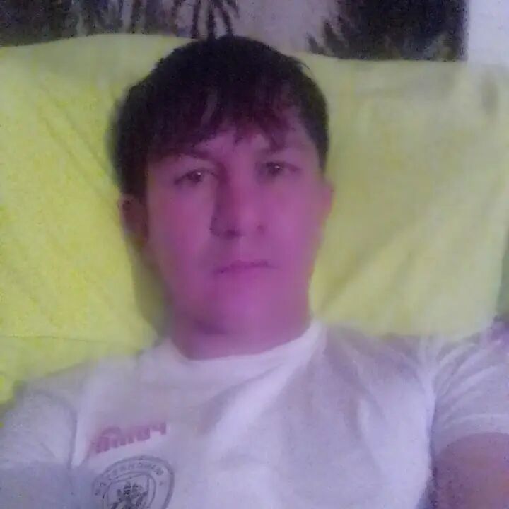  47172582  , 38 ,    