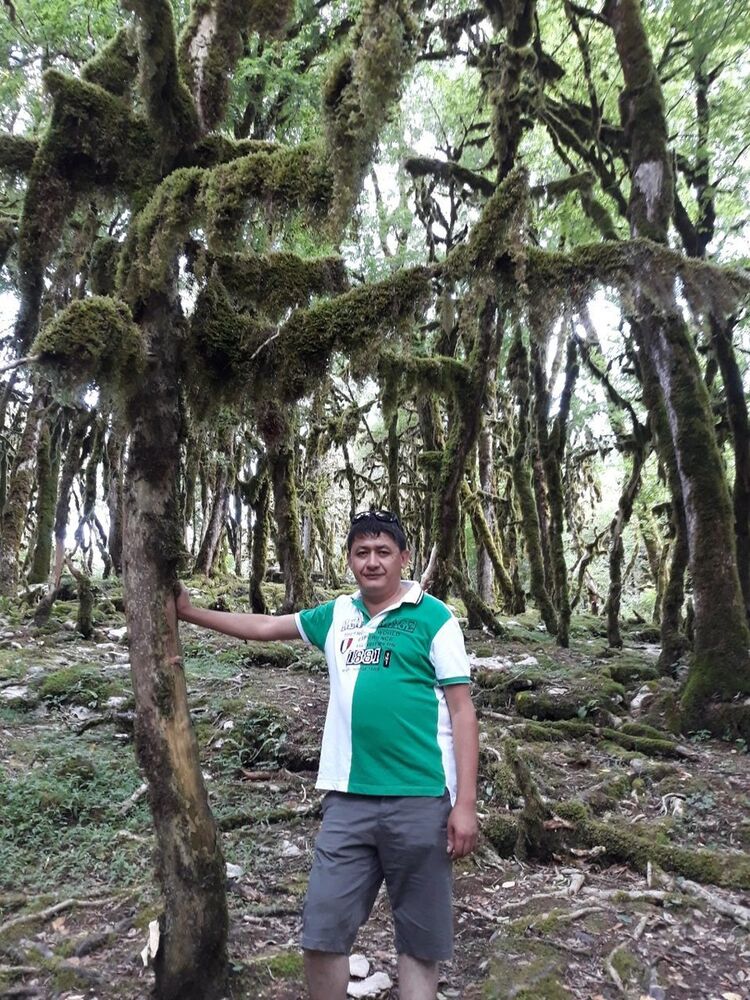  ,   , 51 ,   