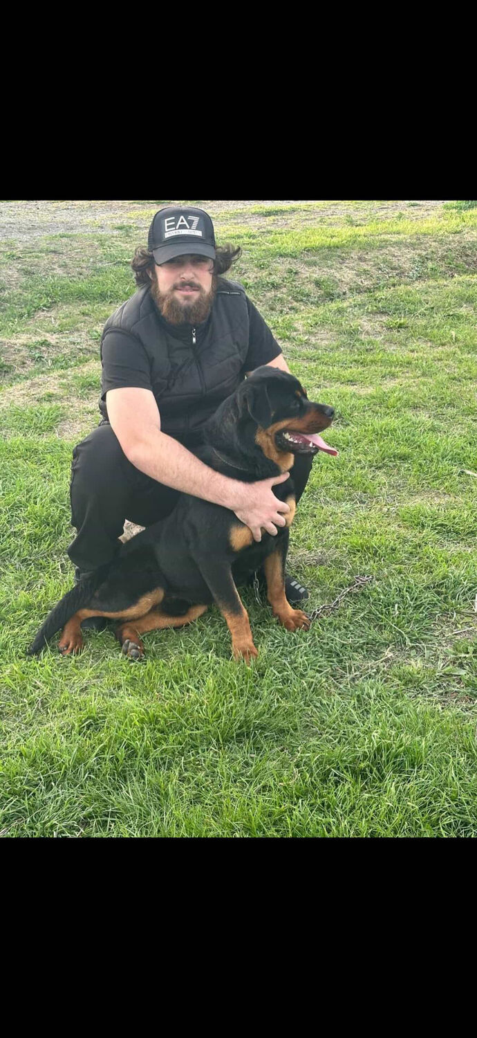 ���� 55398682 ������� Stepan, 26 ���, ���� ���������� � �������