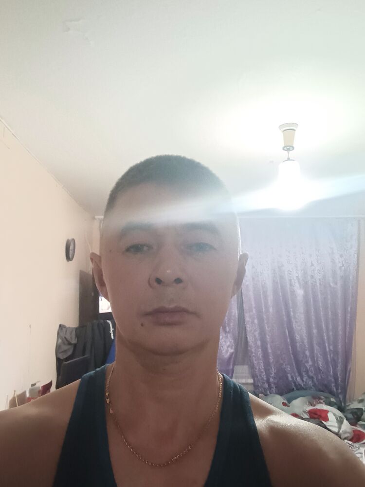  37462312  , 49 ,    