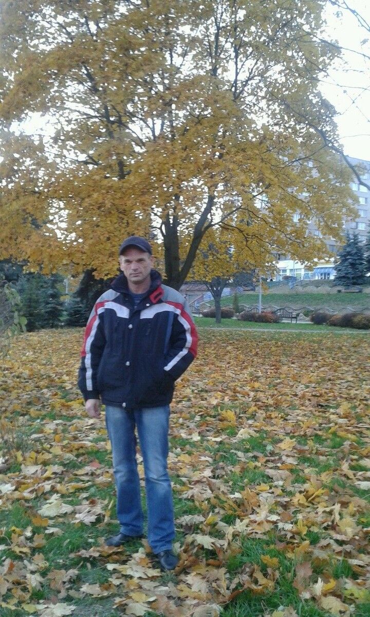  ,   IGOR, 54 ,     , c 