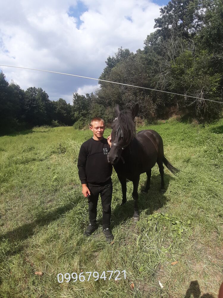  ,   , 28 ,   c 