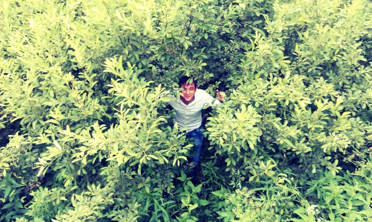 ���������� ������, ���� ������� �� 222501780, 35 ���, ������������ ��� ������