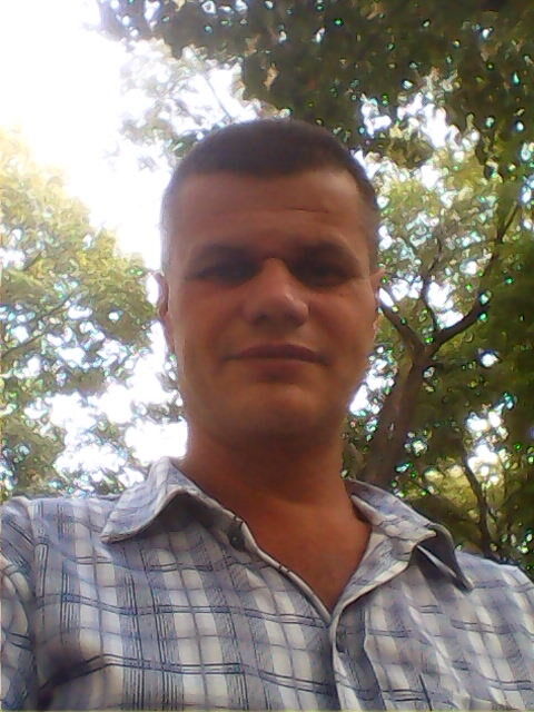  8075752  , 50 ,    