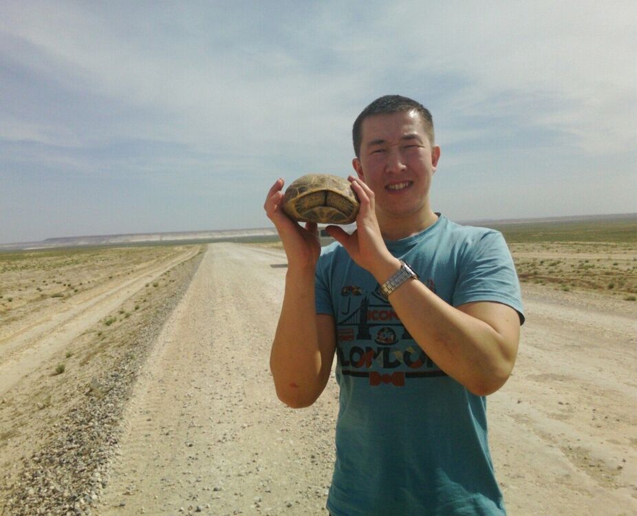 ���� 21598712 ������� �����, 36 ���, ���� ���������� � �����