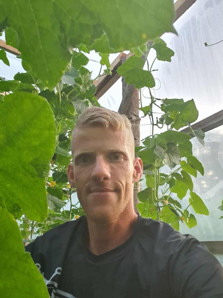 ���������� ����, ���� ������� �����, 31 ���, ������������ ��� ������, ����� � ���������